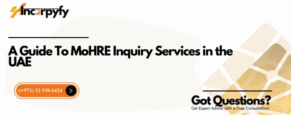 A Guide To MoHRE Inquiry Services in the UAE