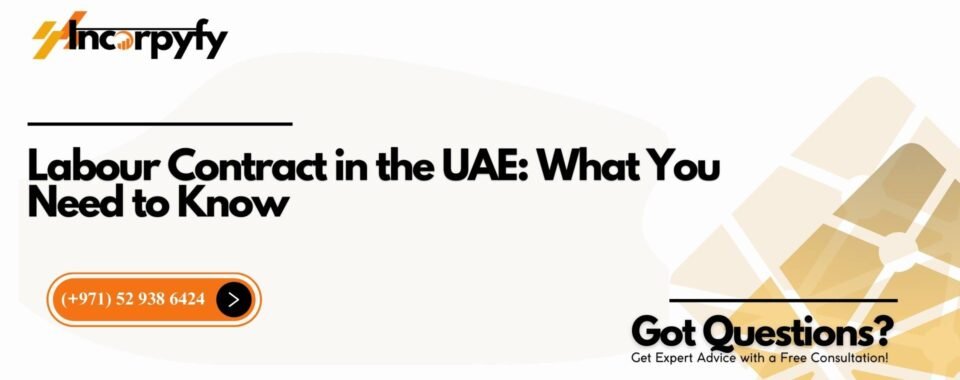 Labour Contract in the UAE: What You Need to Know